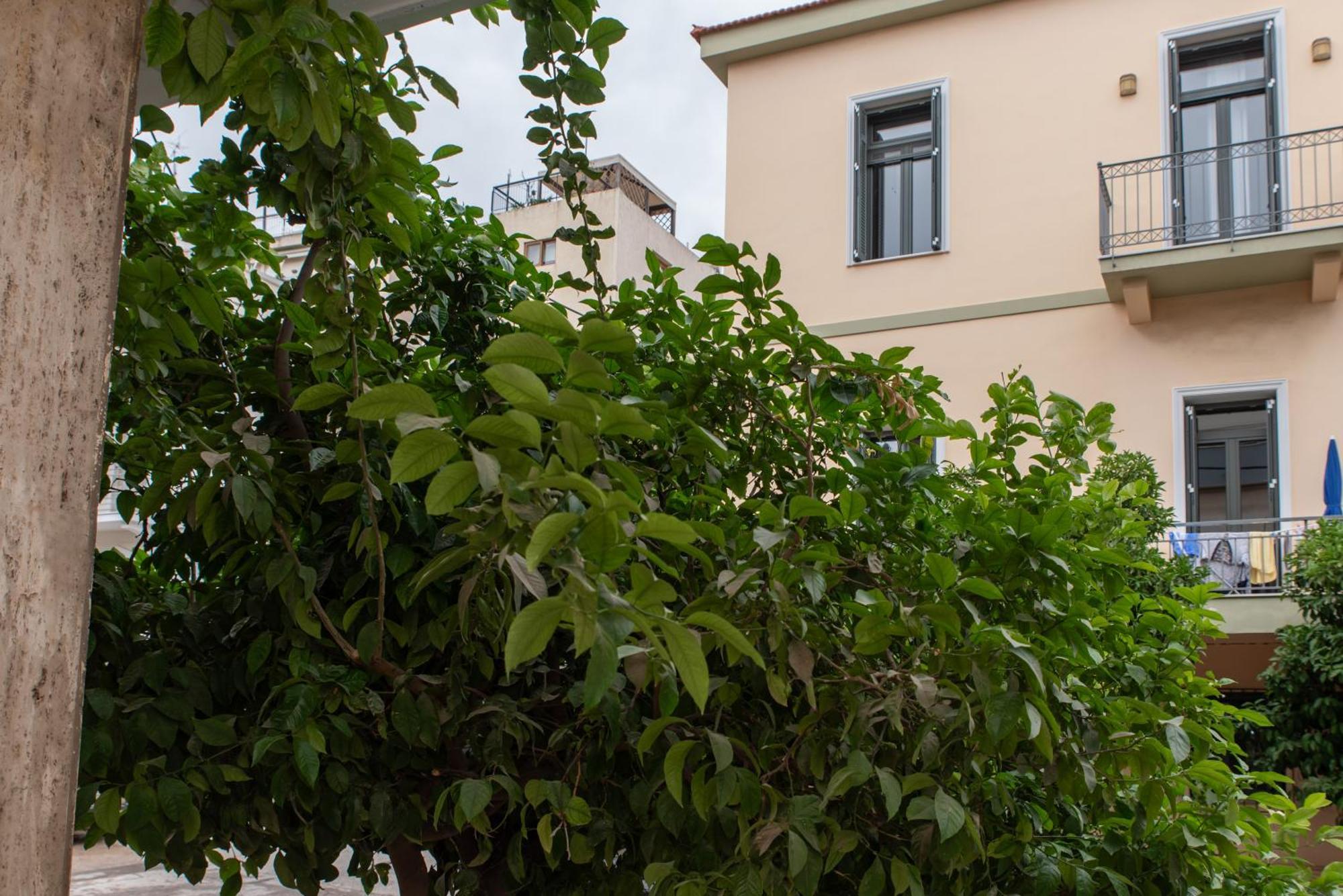 Filopappou Lemon Twins Apartment Athens Exterior photo